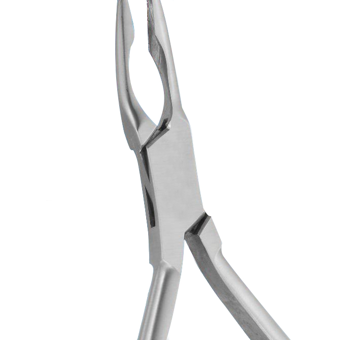  EXTRACTING FORCEPS